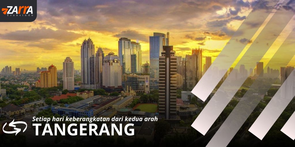 zarra transindo